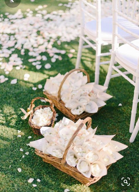 White Petals To Throw Wedding, Flower Petals To Throw At Wedding, Throwing Petals Wedding, Flower Petals For Guests To Throw, Petal Throwing Wedding Ideas, Throw Petals Wedding, Wedding Fan For Bride, Romantic Whimsy Wedding, Flower Petal Throw Wedding