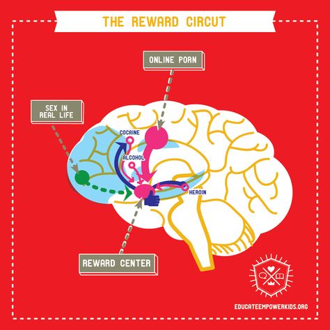 Addictive Behavior and the Brain’s Reward Circuit Generation Why, Addictive Behavior, Family Communication, Intentional Parenting, Dont Understand, The Brain, Our Kids, Counseling, Circuit