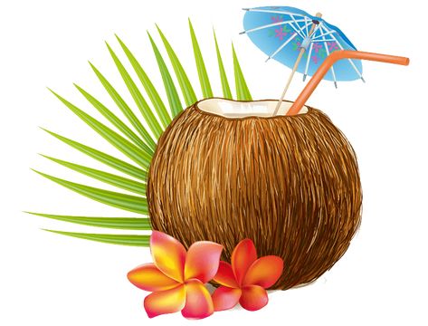 Coconut With Straw Drink Cartoon, Coconut Water Drinks, Coconut Vector, Drink Vector, Water Vector, Coconut Flower, Coconut Drink, Transparent Objects, Fruit Icons