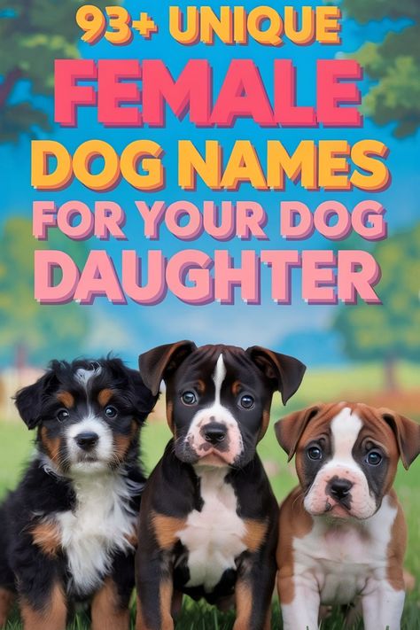 Three dogs with a background of nature. A title about female dog names for your dog daughter. Cute Names For Puppies, Female Puppy Names Unique, Top Female Dog Names, Funny Names For Girls, Girl Puppy Names Unique, Clever Dog Names, Best Girl Dog Names, Puppy Girl Names, Best Female Dog Names