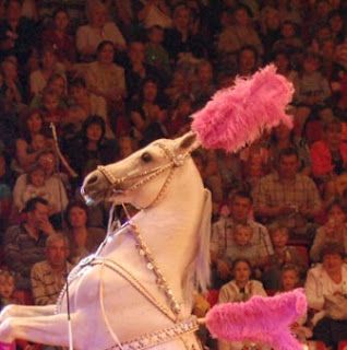 Chestnut Ridge Blog: Ten Stunning Circus Costumes to Inspire You Circus Drawing, Circus Horse, Horse Memes, Horse Costume, Things To Create, Circus Costumes, The Long Dark, Horse Costumes, Circus Birthday Party