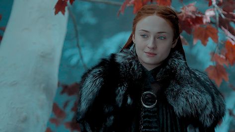 Sansa Stark Screencaps, Game Of Thrones Screencaps, Movie Frames, House Stark, Sansa Stark, Sophie Turner, A Song Of Ice And Fire, Jean Grey, Winter Is Coming