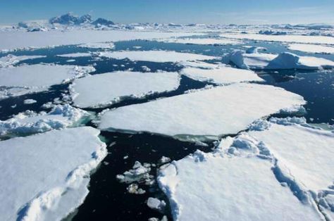 Ice melting in Antarctica Melting Iceberg, Large Refrigerator, Lake Baikal, Ice Melting, Ice Age, Science Fair, Coral Reef, Exotic Pets, Science And Nature