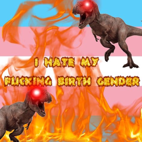 Transmasc Flag Aesthetic, Funny Trans Flag, Aggressive Trans Flag, Trans Dinosaur, Aggressive Pride Flags, Transmasc Pfp, Transmasc Aesthetic, Trans Pfp, Trans Things