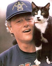 Paparazzi Photography, Celebrities With Cats, Men With Cats, Burmilla, Cornish Rex, Cat Socks, Tuxedo Cat, Bill Clinton, Photos Vintage