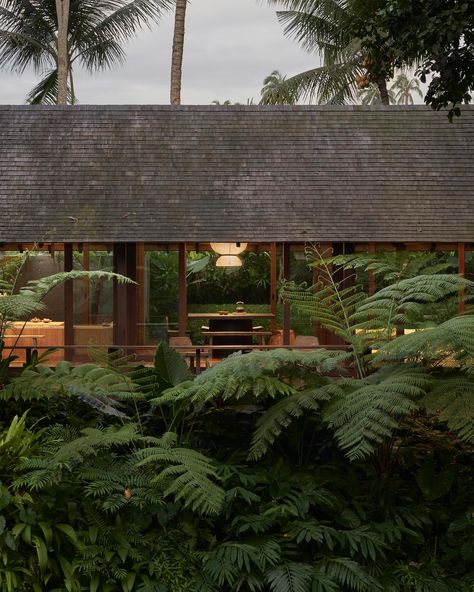 Located in Bali, Rumah Haruku reflects its owners’ deep connection to Indonesia, merging tradition with minimalist design. Working with Bada Studio, they crafted a home that honours the island’s natural beauty. The design blends seamlessly with the lush landscape, preserving mature trees and integrating local materials like Bangkirai wood and terrazzo. Notable features include an open living area with adaptable seating, a Balinese “karpet lontar” ceiling, and wild tropical plants that blur in... Asian Interior Design Inspiration, Bali Inspired Home Exterior, Bali Inspired Home, Japanese House Modern, Asian House Design, Japanese Style Interior Design, Villa Hills, Japanese Style Interior, Living Room Japanese Style