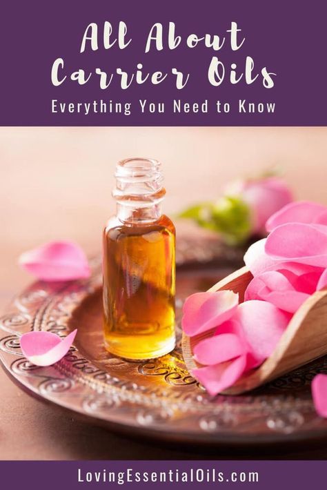 Everything You Need to Know About Carrier Oils - Free PDF Guide by Loving Essential Oils. Learn how to use carrier oils with essential oils and much much more! #carrieroils #lovingessentialoils Carrier Oil Benefits, Shower Scrubs, Lavender Massage Oil, Roller Bottle Recipes, Diluting Essential Oils, Essential Oil Carrier Oils, Hair Care Recipes, Exercise Bands, Oil Remedies