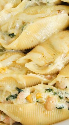 Enchilada Stuffed Shells, Stuffed Shells Beef, Shells Pasta, Shells Stuffed, 3 Week Diet Plan, Chicken Stuffed Shells, Stuffed Shells Ricotta, Stuffed Pasta, Shells Recipe