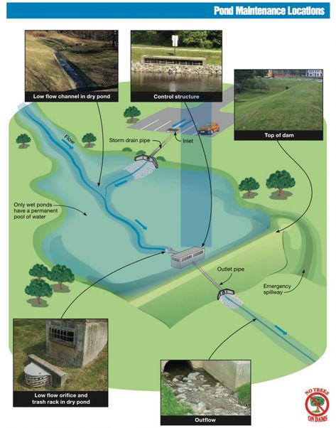 Stormwater Management Design, Detention Pond, Dry Garden Design, Retention Pond, Farm Pond, Rainwater Harvesting System, Stormwater Management, Pond Maintenance, Water Issues