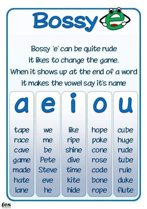 Bossy E, Simple Posters, Homework Folder, Phonics Rules, Long Vowel, Magic E, Vowel Team, English Phonics, Long Vowels