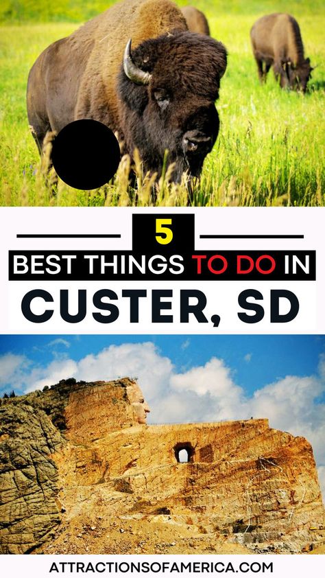 Image of Custer State Park and Crazy Horse Memorial with text reading 5 best things to do in Custer, SD. Jewel Cave National Monument, Custer State Park South Dakota, Custer South Dakota, Jewel Cave, Crazy Horse Memorial, South Dakota Travel, Horse Memorial, Sylvan Lake, Custer State Park