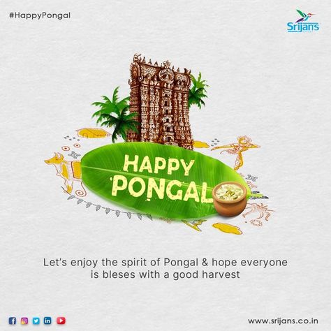 May this harvest festival fill your life with an abundance of joy and prosperity. Happy Pongal to you and your family. Pongal Poster, Creative Post, Happy Pongal, Youth Day, World Environment Day, Environment Day, Harvest Festival, Post Ideas, Creative Ads