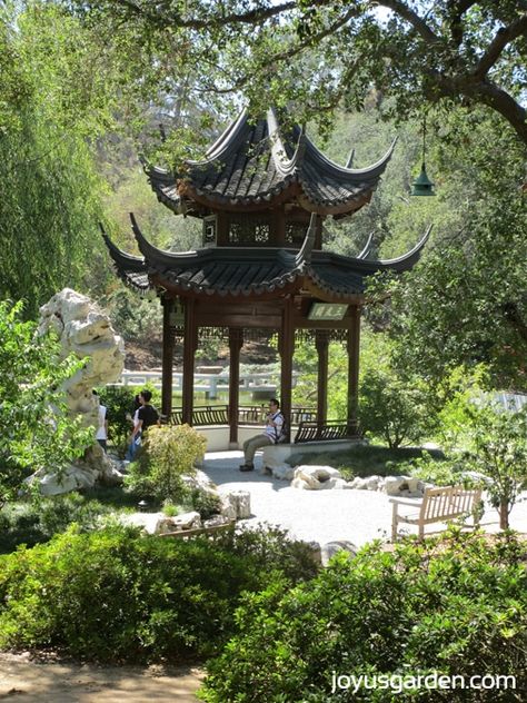 The Chinese Gardens at the Huntington Library & Gardens in San Marino, CA Chinese Garden Design, Huntington Gardens, Japanese Gardens Design Ideas, 30 Days To Healthy Living, Naturalistic Garden, Pagoda Garden, Japanese Garden Landscape, China Garden, Ancient Chinese Architecture