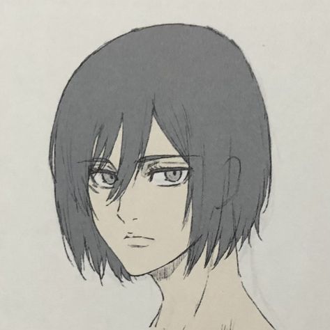 mikasa gallery on Twitter: "The Final Season Part 1 Key Animation Book | Mikasa Ackerman 📸: kasumi_kasa… " Mikasa Icon, Animation Book, Mikasa Supremacy, Key Animation, Attack Titan, Key Frame, Aot Characters, Attack On Titan Season, Mikasa Ackerman