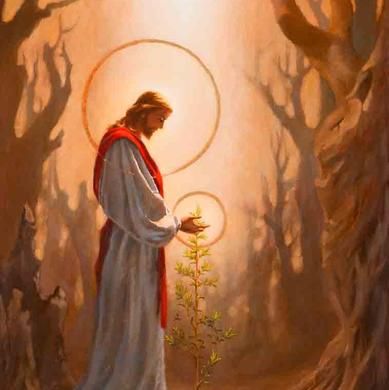 As a Tender Plant copyright 2012 Jennifer Yvonne Paget Oil on panel Biblical Meditation, Mormon Art, Jesus Christ Painting, Jesus Praying, Lds Art, Pictures Of Jesus Christ, Spiritual Artwork, In Christ Alone, Jesus Christ Images