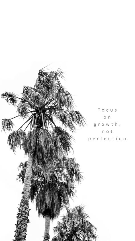 Palm Tree Quotes Inspiration, Palm Quotes, Palm Tree Quotes, Black Love Movies, Summer Captions, Cute Images For Wallpaper, Boss Mom, Minimalist Color, Quote Positive