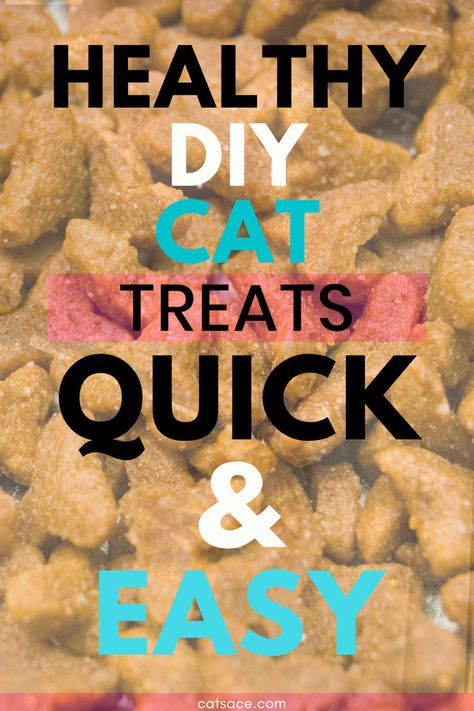 Cat Treats Homemade Easy No Bake, Cat Treat Recipes Homemade, Cat Treats Homemade Easy, Homemade Cat Treats Easy, Diy Cat Treats Recipes, Homemade Cat Treats, Homemade Cat Treats Recipes, Diy Cat Treats, Tuna Cat Treats