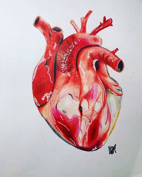 Art Charcoals, Sketches Of Love, Art Beat, Heart Sketch, Heart Drawing, Drawing Expressions, Halloween Drawings, Pen And Watercolor, Color Pencil Art