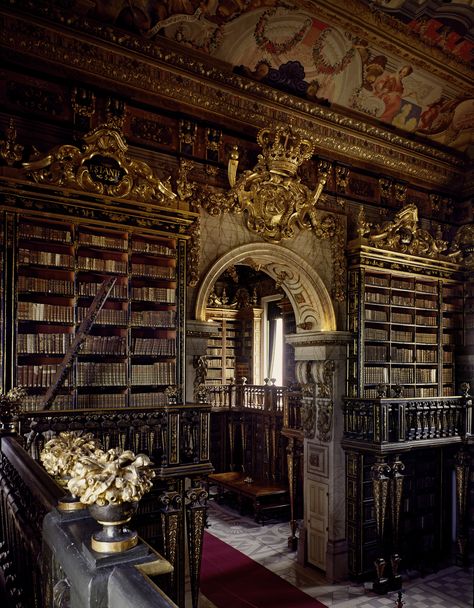 Biblioteca Joanina, Coimbria, Portugal. Look Inside the World’s Most Beautiful Libraries in a New 560-Page Photo Book by Massimo Listri Laurentian Library, Massimo Listri, Beautiful Libraries, Old Libraries, Beautiful Library, Library Aesthetic, Dream Library, College Library, Dark Academy