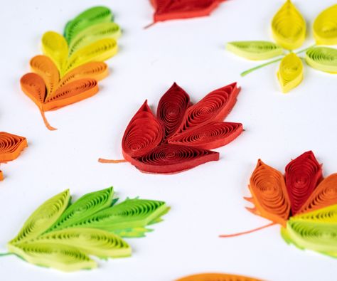 Leaf peepers delight! our handcrafted Maple Leave card will thrill you with fall memories. Each quilled card is beautifully handmade by a highly skilled artisan and takes one hour to create. A quilled card is meant for you to share, treasure as a keepsake, or display as the work of art it is.Verified Fair Trade Federation MemberDon’t just send a card, send art! Product Details Outside Copy: BlankInside Copy: BlankSize: 6 in. x 6 in.Envelope Color subject to availability*Extra postage required fo Quilling Thanksgiving Cards, Fall Quilling Ideas, Fall Quilling, Quilling Leaves, Quilled Tree, Quilling Images, Diy Quilling Crafts, Holiday Bouquet, Quilling Projects