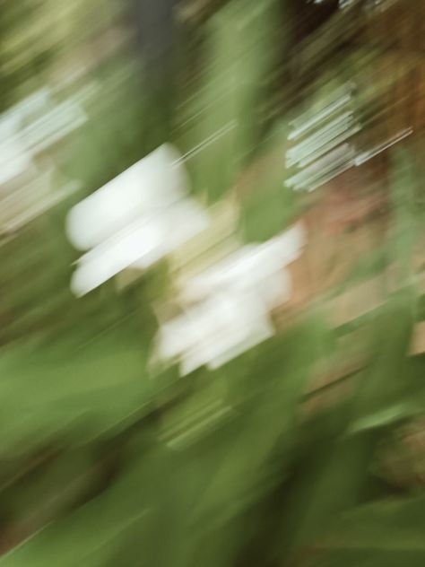 Summer Heat Aesthetic, Fading Aesthetic, Motion Blur Aesthetic, Bokeh Aesthetic, Blurred Flowers, Constructed Textiles, Depth Of Field Photography, Motion Blur Photography, Blurred Aesthetic