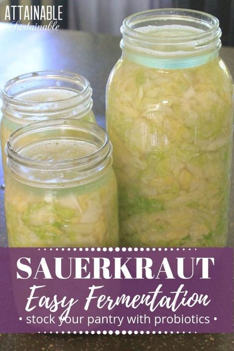 This homemade sauerkraut recipe is so easy to put together. It's a great way to delve into fermentation as a method of food preservation. #fermenting #foodpreservation #homestead