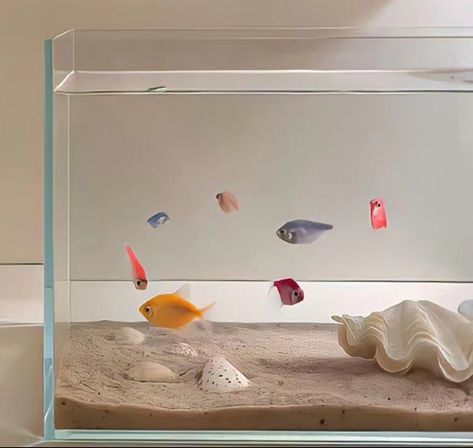 Aesthetic Aquarium, Fish Aquarium Decorations, Fish Tank Themes, Fish Tank Terrarium, Pretty Fish, Betta Fish Tank, Creative Gifts For Boyfriend, Room Redesign, Aquarium Design