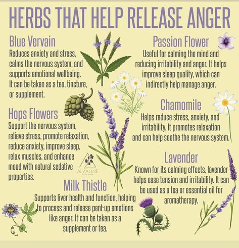 Herbs For Dental Health, Blood Purifying Herbs, Herbs For Anger, Antifungal Herbs, Herbs For Asthma, Herbs For Memory, Herbalism For Beginners, Release Anger, Herbal Education