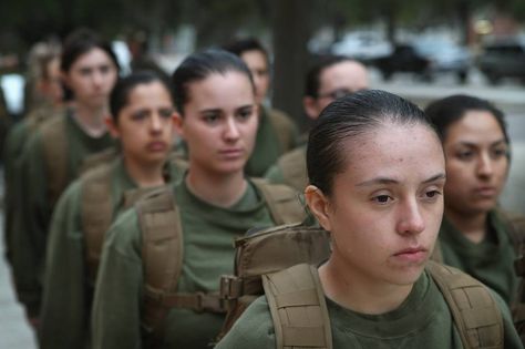 Female Marine recruits stand in formation during boot camp at MCRD Parris Island, South Carolina.... Marines Boot Camp, Army Basic Training, Parris Island, Female Marines, Warrior Women, Us Marines, Us Marine, Mississippi River, Boot Camp