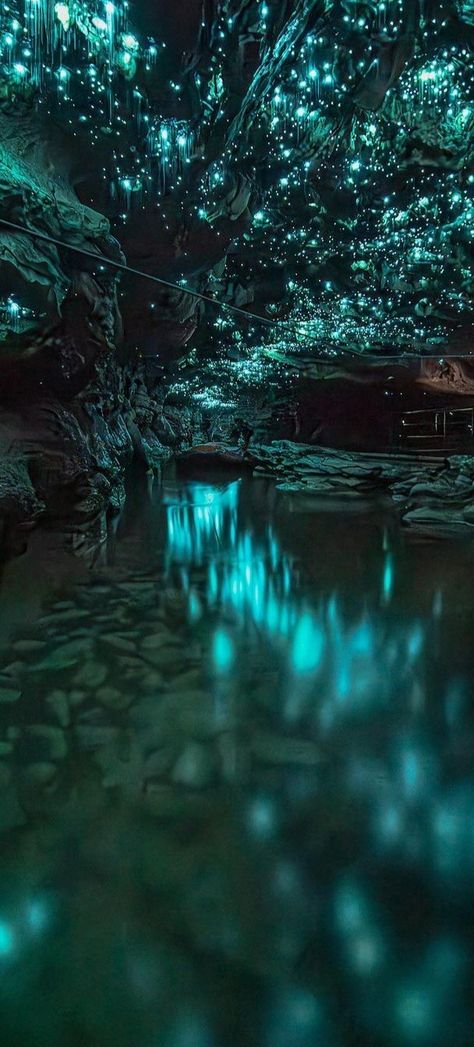 Waitomo Glowworm Caves, Nova Zelândia Glowing Crystal Cave, Luminescent Cave, Bioluminescent Cave, Under Water Cave, Caves Aesthetic, Cave Interior Design, Cave Stalactites, Mushroom Cave, Gem Cave