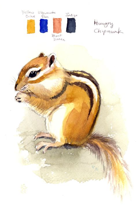 December - Daily Challenge 11 - Chipmunk - Watercolor Mastery Membership Chipmunk Doodle, Cute Chipmunk Drawing, Watercolor Chipmunk, Chipmunk Illustration, Chipmunk Drawing, Baby Chipmunk, House Artwork, Crafting Corner, Easy Canvas