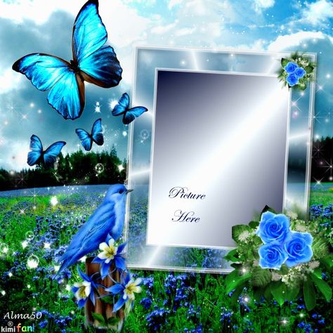 Butterflies and bird Romantic Picture Frames, Girly Frame, Clip Art Frames Borders, Family Picture Frames, Album Frames, Photo Frame Wallpaper, Birthday Photo Frame, Family Photo Frames, Happy Birthday Frame