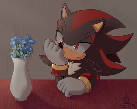 QuARK19601 - Hobbyist, Digital Artist | DeviantArt Shadow And Maria, Shadow Sonic, Sonic Fan Characters, Sonic 3, Sonic Franchise, Hedgehog Art, Tikal, Shadow Pictures, Shadow Art