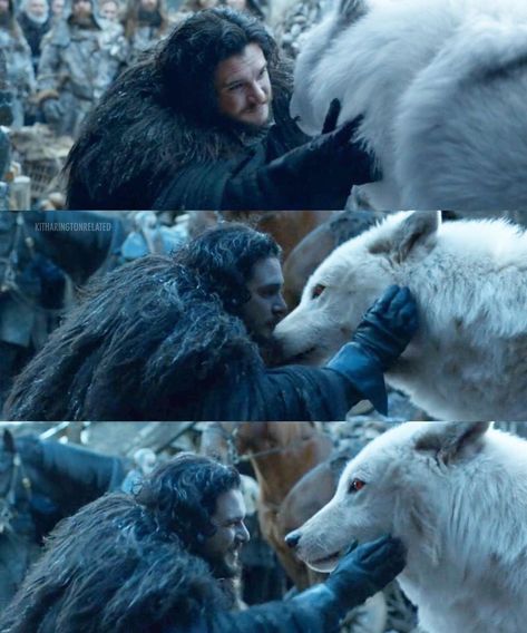 Kit Harington on Instagram: “ITS WHAT WE DESERVED 🐺🖤 . I’m gonna write my opinion about the final episode: So don’t read any further unless you like being spoiled lol.…” Jon Snow And Ghost, Game Of Thrones Facts, Game Of Thrones Tv, Got Game Of Thrones, Game Of Thrones Quotes, Game Of Thrones Funny, Got Memes, Gra O Tron, Games Of Thrones