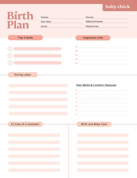 Baby Chick Birth Plan template Printable Birth Plan Template, Birth Plan Template Printables Free, Planning Printables Free, Birth Plan Template, Adulting Quotes, Bad Girl Wallpaper, Birth Story, Baby Planning, Baby Chick