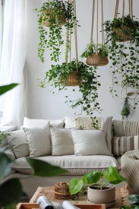 Décorez votre maison avec des plantes suspendues Bar To Hang Plants, Arranging Indoor Plants Living Rooms, Rooms With Hanging Plants, Hanging Plants In Bay Window, Corner Hanging Plant Living Rooms, Hanging Plant In Kitchen, Plants In Dining Room Corner, Corner Hanging Plant, Hanging Plants Corner