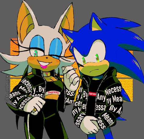 Sonic And Rouge, Knuckles The Echidna, Sonic Unleashed, Goof Troop, Rouge The Bat, Classic Sonic, Sonic Characters, Art Jokes, Sonic Fan Characters