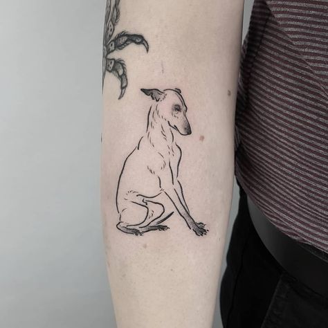 Dog Tooth Tattoo, Whippet Tattoo, Spaniel Tattoo, Brilliant Tattoo, Tatuaje Studio Ghibli, Tooth Tattoo, Needle Tattoo, Tattoo Needle, Sick Tattoo