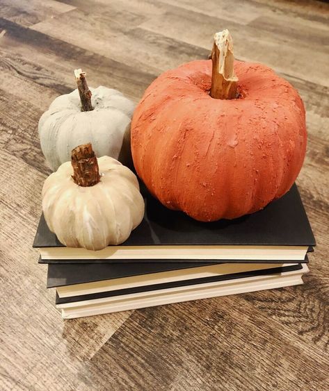 I had some pumpkins that I painted years ago, that just weren't fitting with my style anymore. I decided to try out the textured paint effect using baking soda to give my decor pumpkins a little makeover! Materials Needed - Baking soda Paint Paint Brushes Dish for paint Foam Pumpkins sticks Step One - Remove stems from pumpkins Step Two - Mix Paint and Baking soda This was my first time trying this technique so it was trial and error for me. I used equal parts baking… Chic Fall Decor, Decoupage Pumpkins, Mix Paint, Shabby Chic Fall, Decor Pumpkins, Glass Fish Bowl, Burlap Pumpkins, Pumpkin Uses, Porch Pumpkins