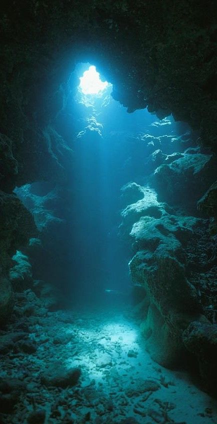 Beneath Jacob's Well. Wilmington. Texas. Underwater Seacave with a Heart Shaped Entrance by: A.I. [Photographer unknown]. Titanic Underwater, Lady Aesthetic, Underwater Caves, Mermaid Photography, Cave Diving, Under The Water, Aesthetic Pretty, Belle Nature, Underwater Photos