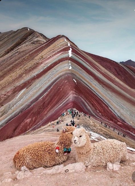 Rainbow Mountains Peru, Rainbow Mountain, Peru Travel, Scenic Routes, Future Travel, Vacation Places, Machu Picchu, Travel Goals, Travel Inspo