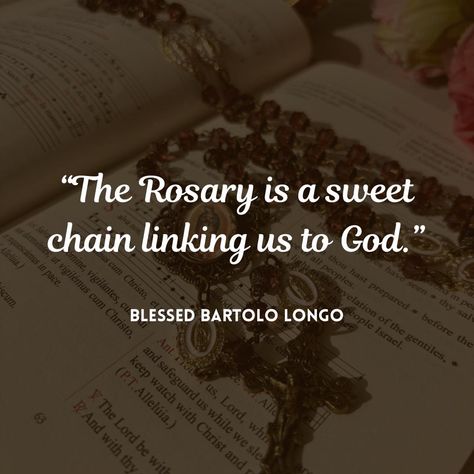 Pray the rosary today! 🌻 Rosary Quotes, Mary Images, Pray The Rosary, Mother Mary Images, Praying The Rosary, Holy Rosary, The Rosary, Mother Mary, A Blessing