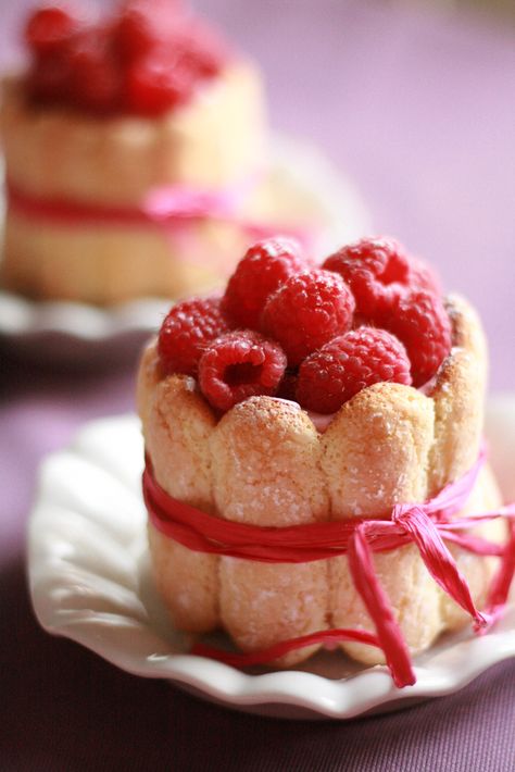 My first thought was that my Aunt Charlotte would have loved this only to find out that the dessert is called Sweet Charlotte <3 Lady Finger Cake Recipe, Lady Fingers Dessert, Fudge Caramel, Finger Desserts, Charlotte Cake, Mini Torte, Think Food, Julia Child, Food Cakes