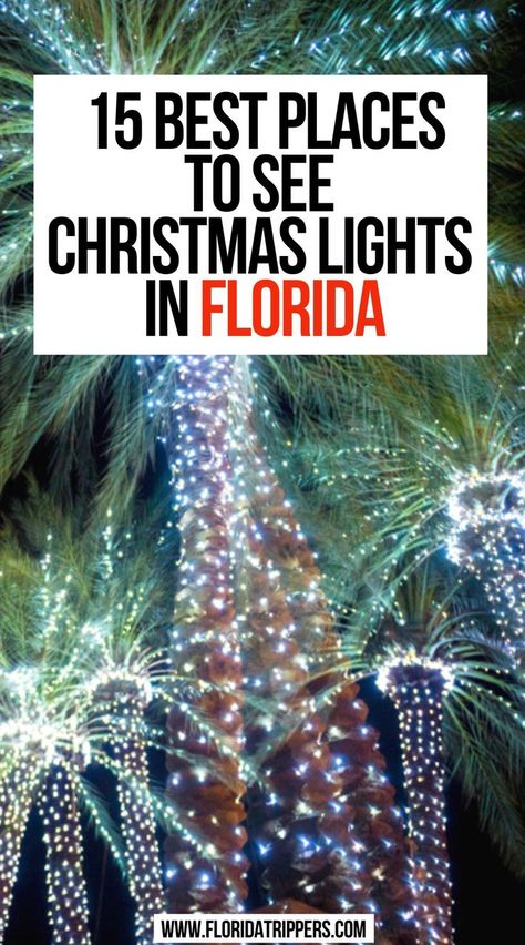 15 Best Places To See Christmas Lights in Florida Christmas In Florida Decorations, Florida Christmas Decorations Outdoor, Florida Christmas Decorations, Things To Do Christmas, Christmas In Florida, Things To Do Orlando, Best Places In Florida, Christmas Vacation Destinations, Christmas Travel Destinations