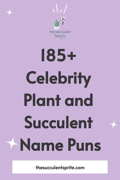 There is nothing quite as exciting as exploring the magical realm of celebrity-inspired plant names. Trust me, it’s going to be a blast! Funny Plant Names, Plant Names Ideas, Succulent Puns, Pun Names, Cactus Names, Succulent Names, Plant Names, Plant Puns, Zebra Plant