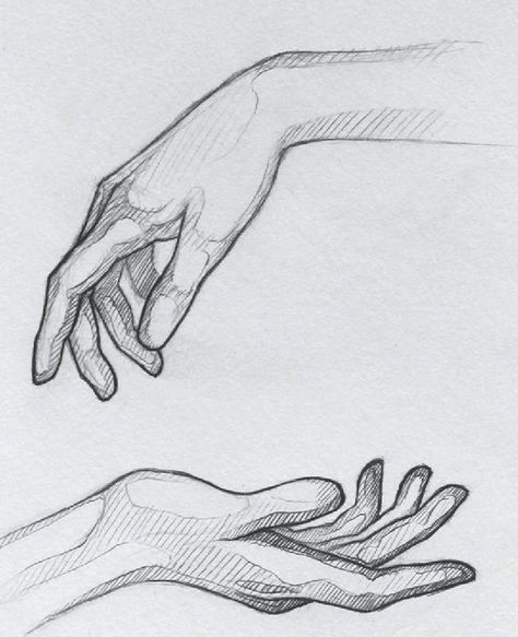 Hand Pose Drawing, Anatomy Study Reference, Pencil Line Art, Drawing Of Hands, Sketch Anatomy, Easy Hand Drawings, Study Reference, Drawing Realistic, Realistic Sketch