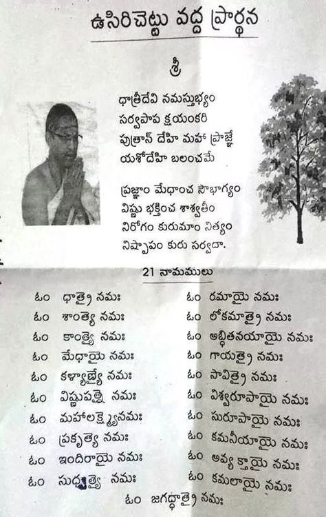 Karthika Masam Pooja, Amla Tree, Karthika Masam, Tradition Quotes, Telugu Language, Devotional Topics, Telugu Inspirational Quotes, Sanskrit Mantra, Inspirtional Quotes