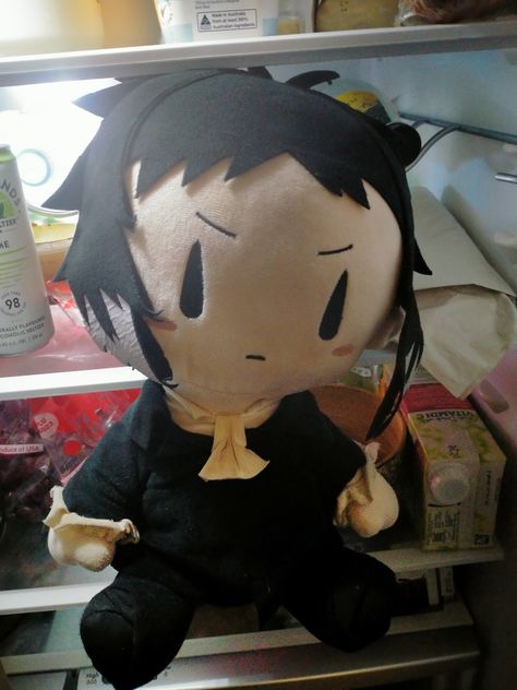 Akutagawa Plushie, Akutagawa Plush, Bsd Plushies, Akutagawa Ryunosuke, Magic Book, Phone Themes, Stray Dogs, Bungo Stray Dogs, Bungou Stray Dogs