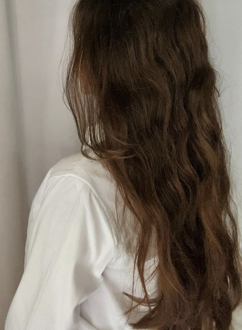 Light Brown Curly Hair Aesthetic, Frizzy Hair Aesthetic, Light Brown Hair Aesthetic, Frizzy Brown Hair, Brown Curly Hair, Textured Curly Hair, Brown Hair Inspo, Hair Aesthetic, Honey Hair