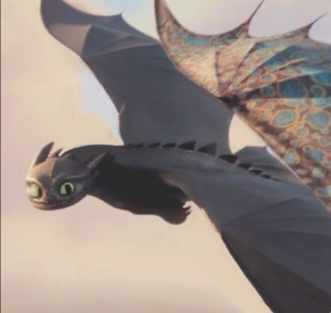 Wild Night Fury, Night Fury Flying, Httyd Reference, Fury Family, Toothless Night Fury, Train Dragon, Adventure Time Girls, Dragon Icon, Funny Dragon